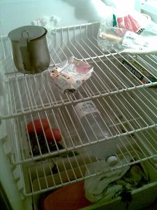 Il frigo è troppo fresco