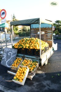 Non ho dubbi nell’affermare  che per un siciliano l’autunno è la stagione di  inizio della “Campagna degli agrumi”. Dunque, foto n. 1:  /‘A lapa/ dei tarocchi  di Paternò;