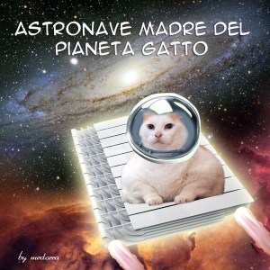 astronave gatto