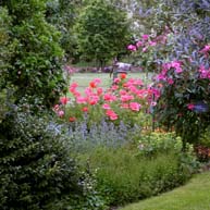 lanini_papaver193x193