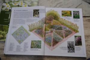 19enciclopedia delle erbe con gardenia