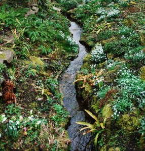 east lambrook manor garden