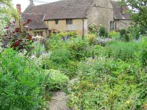 datemi un taglierbe, per favore