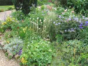 Gesù, salva il mondo dalla brodura mista!