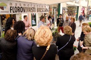 20120324_brixia_florum_35