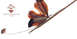 invitoMUSMI garden club la zagara