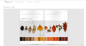 blossomzine inverno 2013