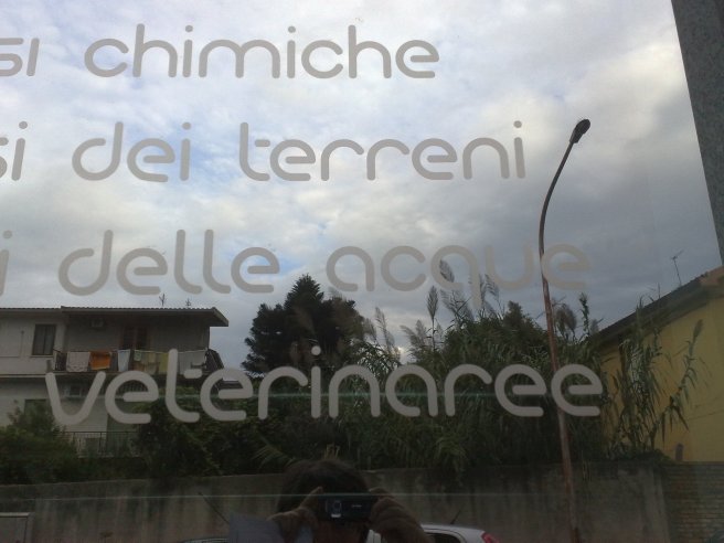 analisi veterinaree
