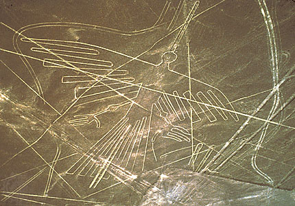 nazca-condor