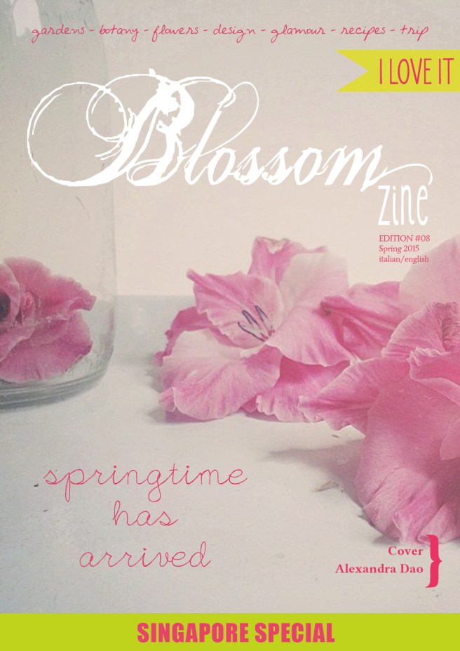 Spring-8-2015-cover-HR--1