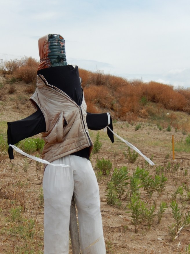 spaventapasseri bassa