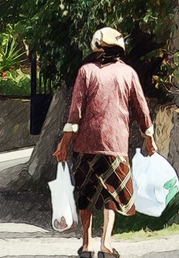 Ingresso_ giardino_cr