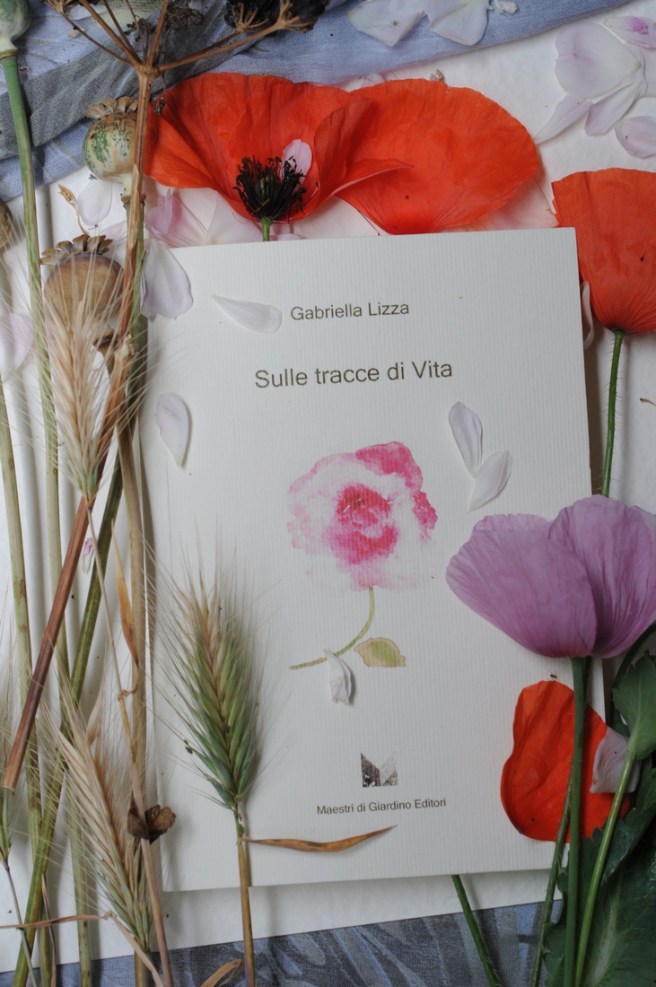 gabriella_lizza_sulle tracce di vita2