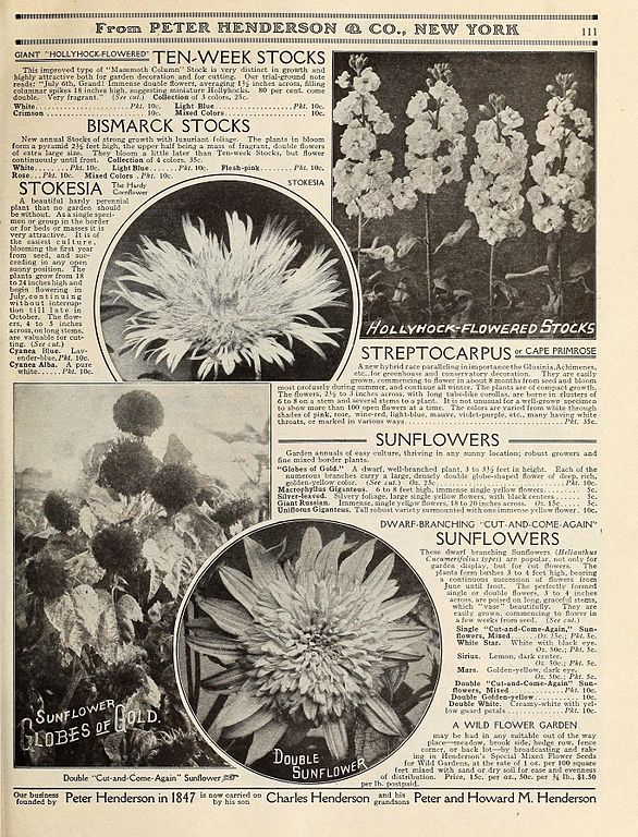 Everything_for_the_garden_(16389233411)