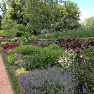 mixed border_flickr_ riutilizzo non commerciale