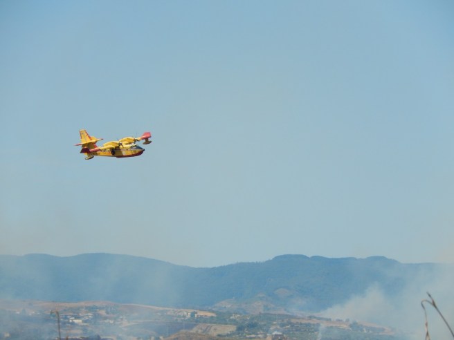 canadairi19