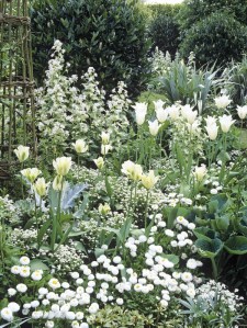 sissinghurst-_white-garden
