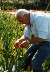 13-papa-luigi-durante-libridazione