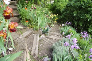 8-scala-di-collegamento-fiorita_a